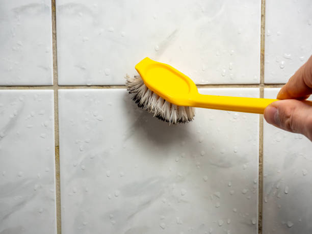 Best Toxic Mold Removal  in Michigan City, IN