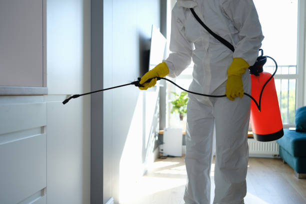 Best Certified Mold Removal  in Michigan City, IN